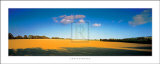 Great Meadow