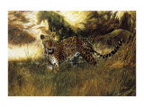 On the Prowl