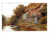 Rustic Retreat