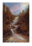 The Waterfall