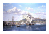 Aurelia at Camden  Maine