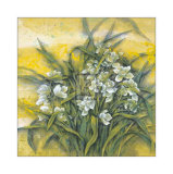White Orchids