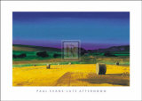 Late Afternoon