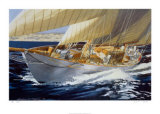 Bow Wave