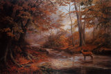 Woodland Stream