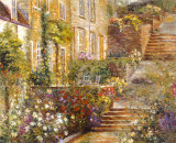 Patio Gardens I