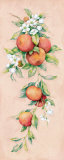 Oranges