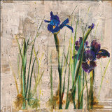 Spring Mist II