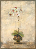Promise Requited II