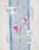 Amaryllis Passion