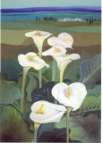 White Dream