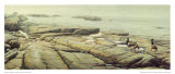 Ile au Basque   Bernaches-Cravants