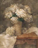 Bouquet of Hydrangea