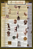 Ancient Rome - The British Museum