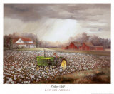Cotton Field