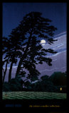 Moon at Magome
