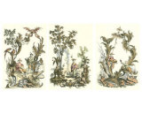Oriental Garden