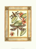 Dragonfly Essence I