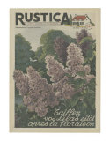 Plantez des Lilacs