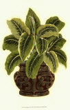 Lush Foliage in Urn I