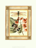 Dragonfly Essence II