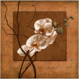 Golden Orchid II