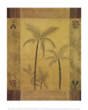 Palm Patterns II