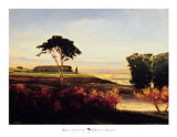 Distant Valley