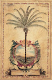 Sunset Palm