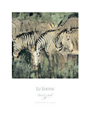 Heart of the Jungle I