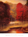 Vermilion Meadow