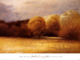 Mellow Evening Glow