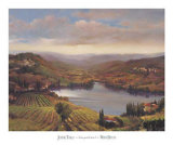 Vineyard View I