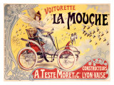 La Mouche