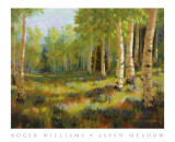 Aspen Meadow