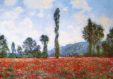 Field of Poppies