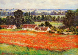 Field of Poppies