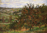 Apple Trees in Bloom at Vetheuil  c1887