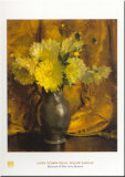 Yellow Dahlias