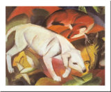 A Dog  a Fox and a Cat