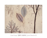 Lyrical Branches III
