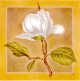 Charm II