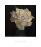 Gardenia in Green Vase
