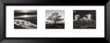 Trilogy