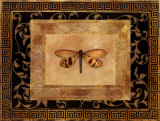 Dragon Fly II