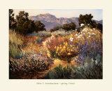 Spring Trails