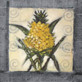 Caribbean Still Life IV