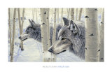 Among the Aspens