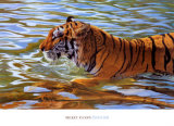 Afternoon Swim