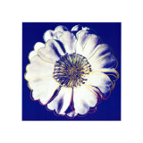 Flower for Tacoma Dome  c1982 (Blue and White)